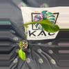 plant/Philodendron Joepii GoG (Green on Green)-0-thumbnail