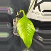 plant/Philodendron Joepii GoG (Green on Green)-1-thumbnail