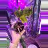 plant/Philodendron Florida Beauty!-0-thumbnail