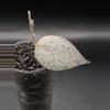 plant/Hoya Caudata Argene Cutting-0-thumbnail