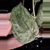 plant/🎉SALE! Scindapsus Cream Blue #5 *Rooted in moss-5-thumbnail