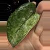 plant/🎉SALE! Scindapsus Halimoon #1 *Rooted in moss-3-thumbnail