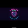 plant/Stoners Choice Variegated Pink Ballon Heart TC-0-thumbnail