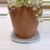 plant/Vintage Gray Squared 6.5" Plant Pot Saucer-2-thumbnail