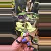 plant/Large pink Nova ghost mom cutting from her-4-thumbnail