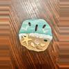 plant/Hand painted sand dollar-0-thumbnail