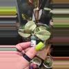 plant/Large pink Nova ghost mom cutting from her-2-thumbnail