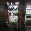 plant/Mystery Hoya Cutting Bundle 10x-4-thumbnail