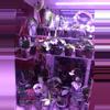 plant/Mystery Hoya Cutting Bundle 10x-0-thumbnail