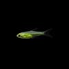 plant/Bliss starter beginner Nano Fish and Shrimp Pack-1-thumbnail