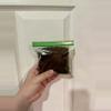 free_shipping/ADD ON Tree Fern Fiber - Snack Bag Size-0-thumbnail