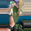 plant/G223 (Carla x Port) X (Port x Bess)-0-thumbnail