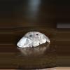 plant/Handmade ceramic pot with drainage-2-thumbnail