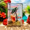 free_shipping/Subscription Box Inspired for Jumping Spiders-2-thumbnail
