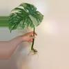 plant/Monstera Legacy Cutting Monstera thai Legacy-0-thumbnail