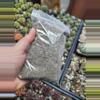 plant/Cactus Soil-0-thumbnail