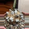 plant/Dioscorea elephantipes-0-thumbnail