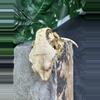 plant/#77 MAPI white wall Quad stripe dark base 35g-2-thumbnail