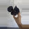 plant/Black mamba Begonia-0-thumbnail