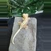 plant/#102 Lilly white male 11g-5-thumbnail