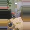 insulation/Turkana cichlid-0-thumbnail
