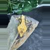 plant/#147 Tri black base w/yellow Candy x Pincap NPV-2-thumbnail