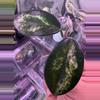 plant/Madara Green Edge unrooted cutting-0-thumbnail