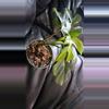 plant/Mini Monstera plant-1-thumbnail