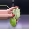 plant/Mint monstera, Large Form #21-3-thumbnail