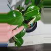 plant/Peperomia Obtusifolia #7254-3-thumbnail