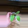 plant/Anthurium Acaule-2-thumbnail