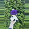plant/PDF Crochet Pattern: Fruit Hat Cow!🍓🐮 (NOT a physical product!)-8-thumbnail