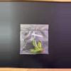 plant/Philodendron Red Congo Variegated TC-1-thumbnail
