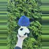 plant/PDF Crochet Pattern: Fruit Hat Cow!🍓🐮 (NOT a physical product!)-7-thumbnail