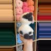 plant/🐮🐄Fuzzy/Weighted Sitting Cow Plushie-2-thumbnail