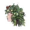 plant/Hoya Head 8x10 Giclee Print-0-thumbnail