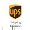 shipping_upgrade/Next day shipping-0-thumbnail