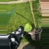 plant/Monstera Deliciosa-3-thumbnail