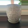 plant/#164 6" Greenish-Blue Textures Ceramic Pot-0-thumbnail