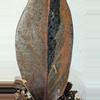 plant/raven zz variegated (Zamioculcas zamiifolia) 0031-2-thumbnail
