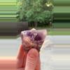 plant/Nigerian Fluorite #2-0-thumbnail