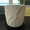 plant/#165 5" Cream Ceramic Pot-0-thumbnail