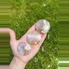 plant/Flower Agate Palm Stone / Plume Agate Cookie Shape / Madagascar-1-thumbnail