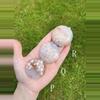 plant/Flower Agate Palm Stone / Plume Agate Cookie Shape / Madagascar-5-thumbnail