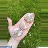 plant/Flower Agate Palm Stone / Plume Agate Cookie Shape / Madagascar-4-thumbnail
