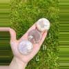 plant/Flower Agate Palm Stone / Plume Agate Cookie Shape / Madagascar-2-thumbnail