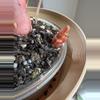plant/Alocasia Pink Dragon Albo Corms-3-thumbnail