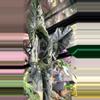 plant/Alocasia simpo albo corm-1-thumbnail