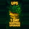 shipping_upgrade/UPS 1 DAY SHIPPING UPGRADE-0-thumbnail