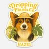 plant/Dropping Plants Co. - Hazel Sticker - 3inch-0-thumbnail